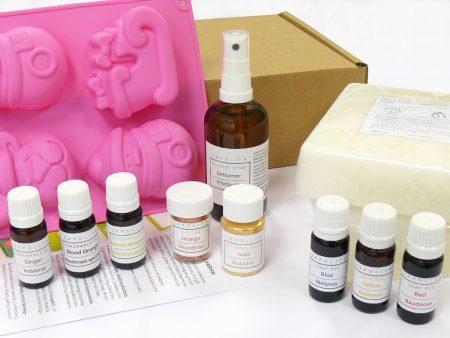 Christmas soap making kit